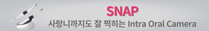 배너